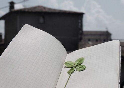 Four-leaf clover - a talisman for good luck
