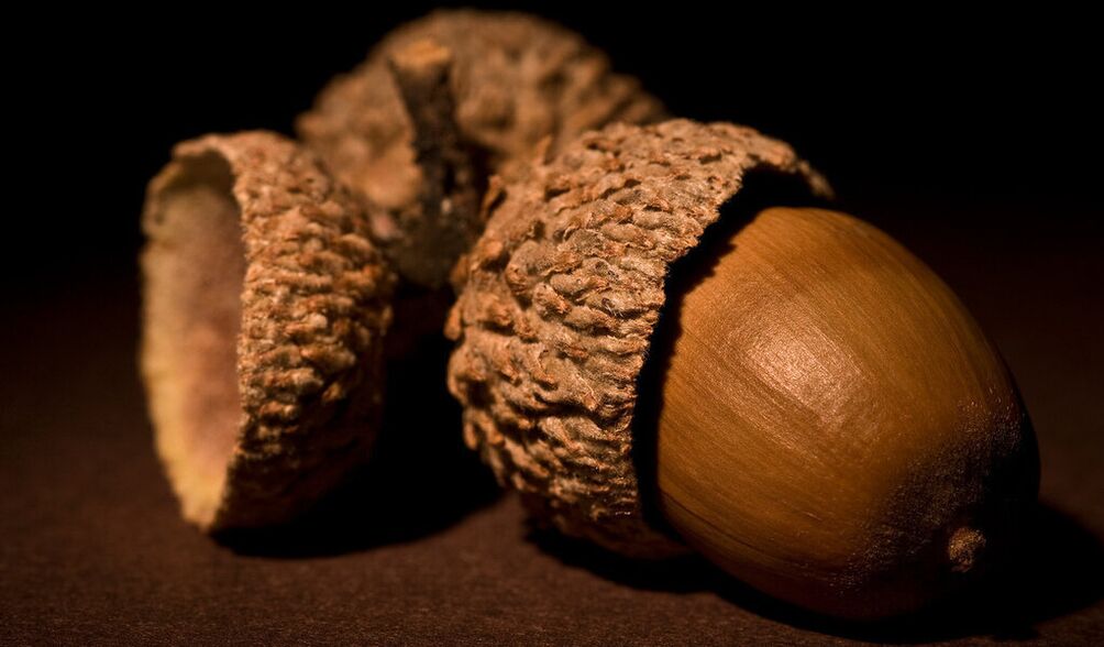 amulet for good luck - acorn