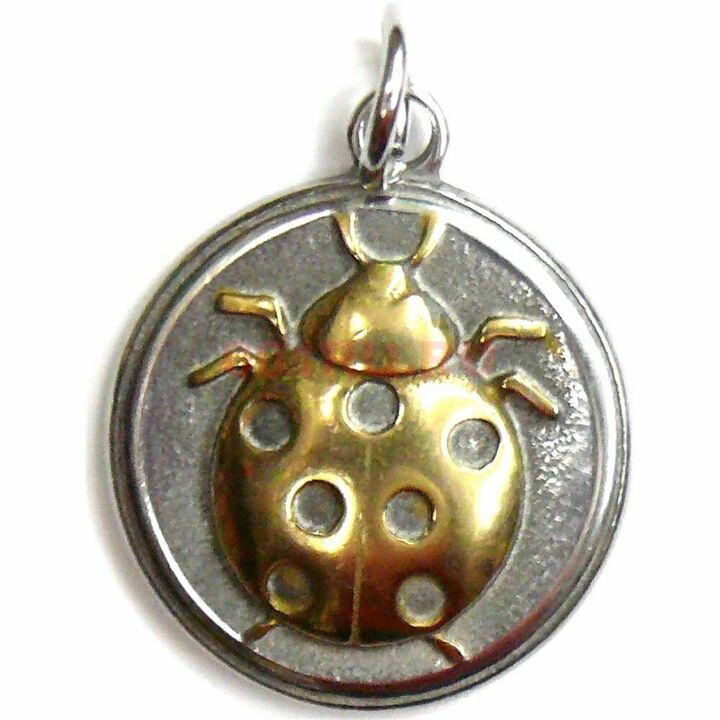 amulet ladybug - provides financial success