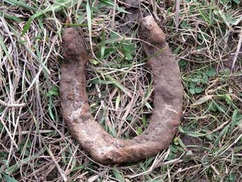 found horseshoes serve to make a talisman
